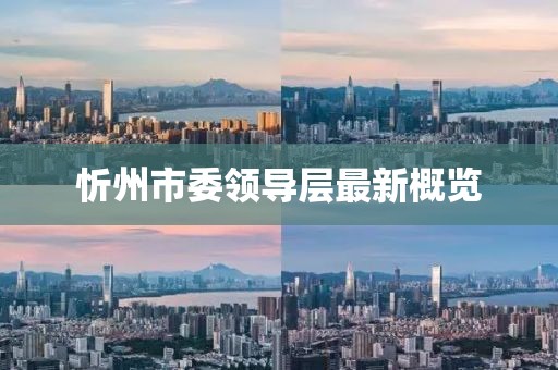 忻州市委领导层最新概览