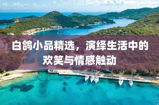 白鸽小品精选，演绎生活中的欢笑与情感触动