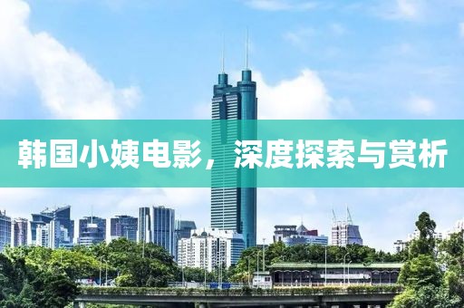 韩国小姨电影，深度探索与赏析