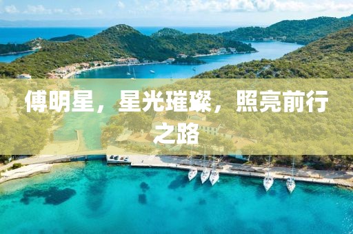 傅明星，星光璀璨，照亮前行之路