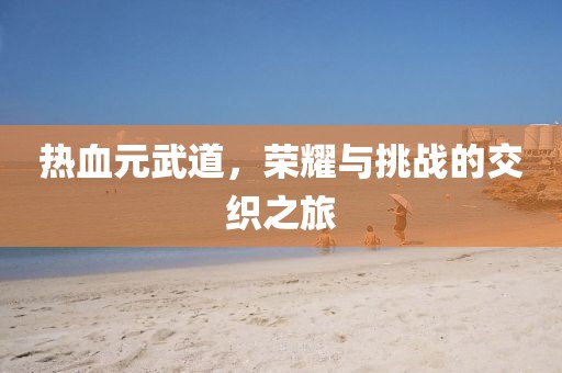 热血元武道，荣耀与挑战的交织之旅