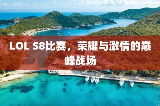 LOL S8比赛，荣耀与激情的巅峰战场