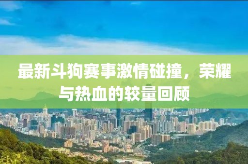 最新斗狗赛事激情碰撞，荣耀与热血的较量回顾
