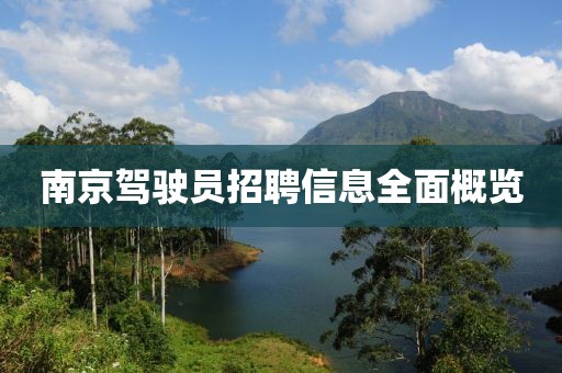 南京驾驶员招聘信息全面概览