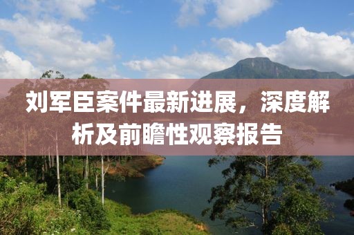 刘军臣案件最新进展，深度解析及前瞻性观察报告