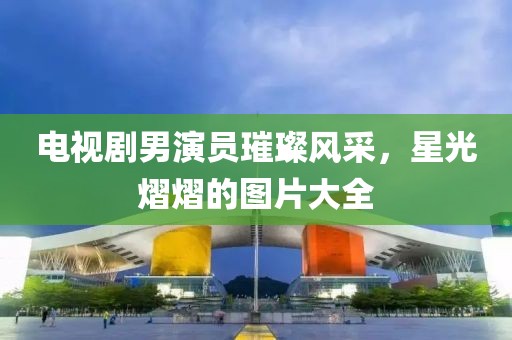 电视剧男演员璀璨风采，星光熠熠的图片大全