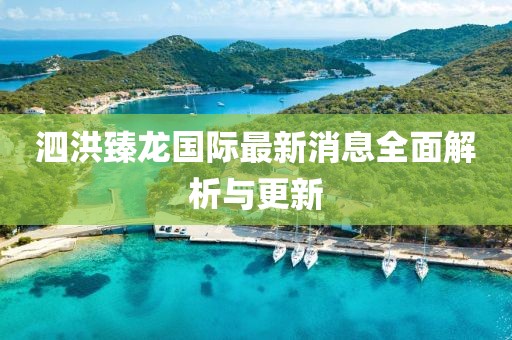 泗洪臻龙国际最新消息全面解析与更新