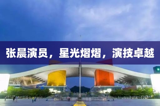 张晨演员，星光熠熠，演技卓越