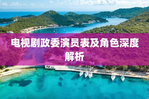 电视剧政委演员表及角色深度解析