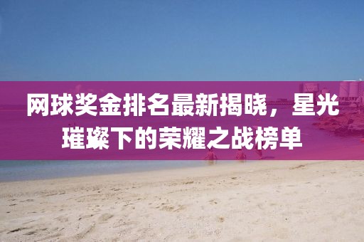 网球奖金排名最新揭晓，星光璀璨下的荣耀之战榜单