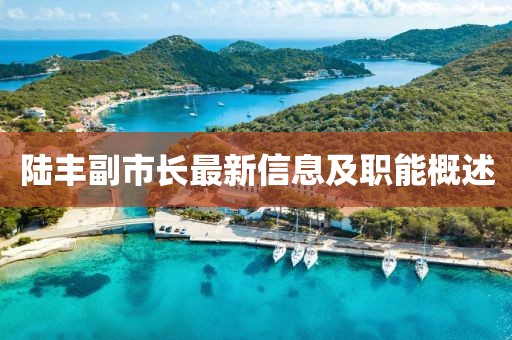 陆丰副市长最新信息及职能概述