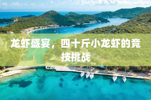 龙虾盛宴，四十斤小龙虾的竞技挑战