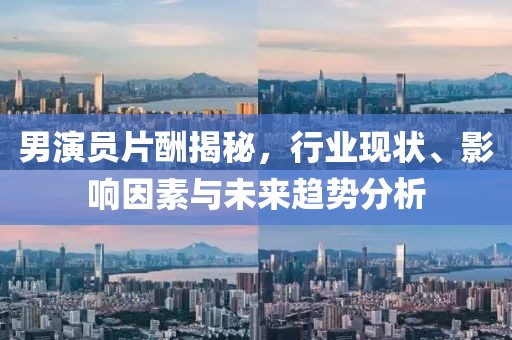 男演员片酬揭秘，行业现状、影响因素与未来趋势分析