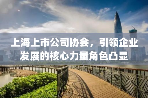上海上市公司协会，引领企业发展的核心力量角色凸显