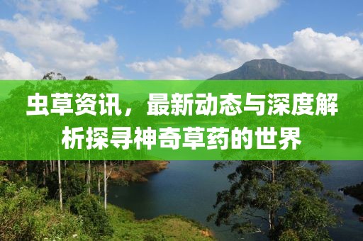 虫草资讯，最新动态与深度解析探寻神奇草药的世界