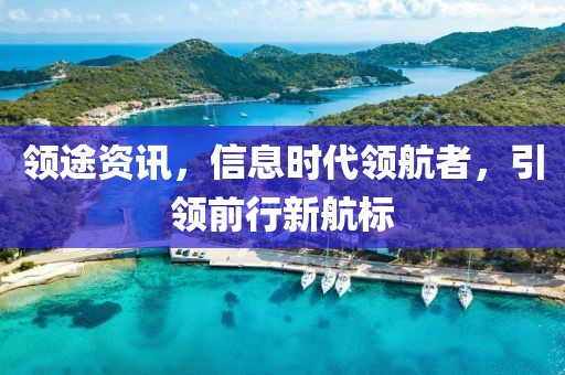 领途资讯，信息时代领航者，引领前行新航标