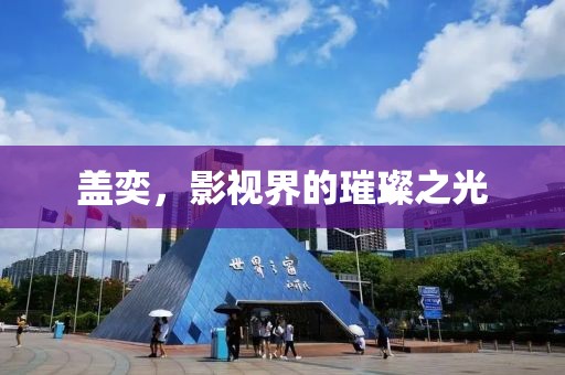 盖奕，影视界的璀璨之光