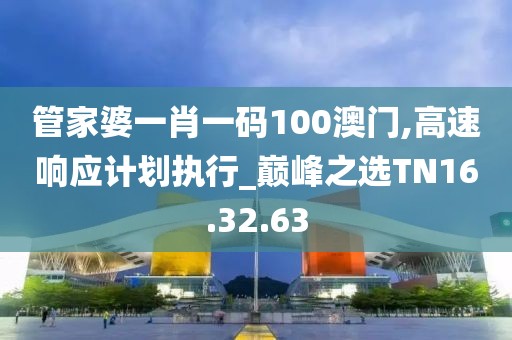 管家婆一肖一码100澳门,高速响应计划执行_巅峰之选TN16.32.63