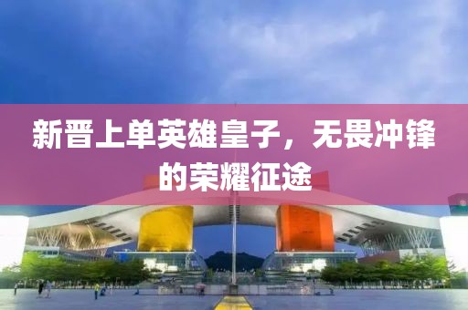 新晋上单英雄皇子，无畏冲锋的荣耀征途
