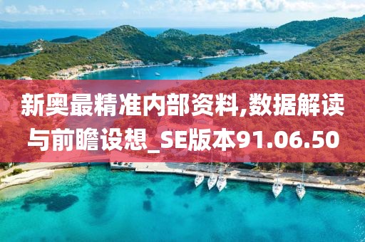新奥最精准内部资料,数据解读与前瞻设想_SE版本91.06.50