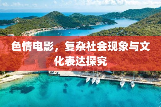 色情电影，复杂社会现象与文化表达探究