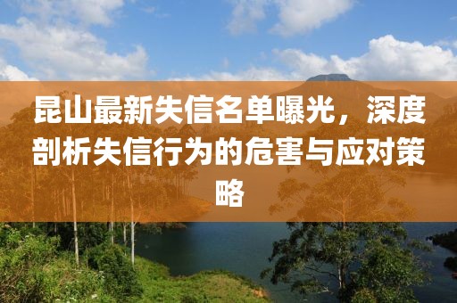 昆山最新失信名单曝光，深度剖析失信行为的危害与应对策略