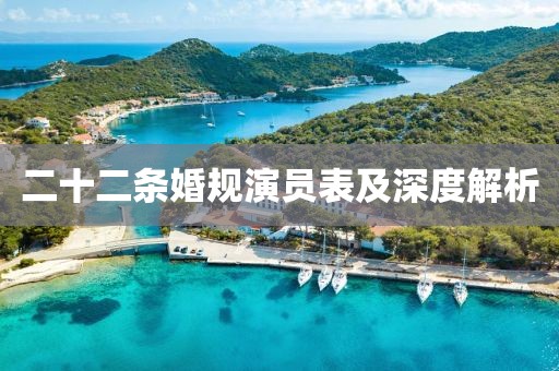 二十二条婚规演员表及深度解析