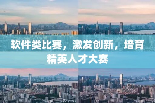 软件类比赛，激发创新，培育精英人才大赛