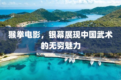 猴拳电影，银幕展现中国武术的无穷魅力