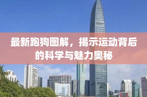 最新跑狗图解，揭示运动背后的科学与魅力奥秘