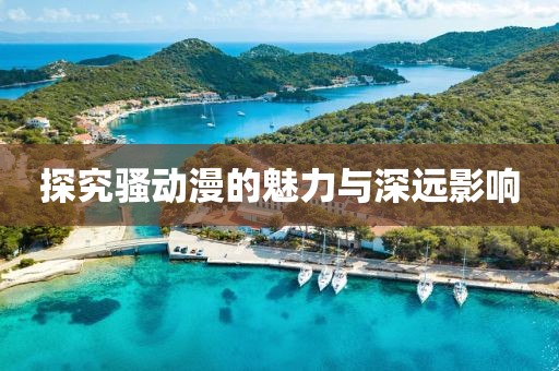 探究骚动漫的魅力与深远影响