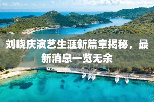 刘晓庆演艺生涯新篇章揭秘，最新消息一览无余