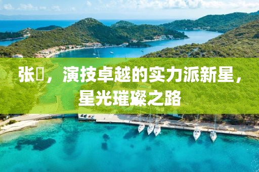 张晞，演技卓越的实力派新星，星光璀璨之路