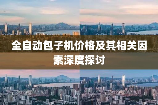 全自动包子机价格及其相关因素深度探讨