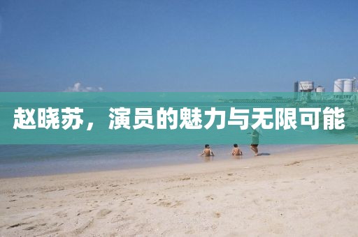 赵晓苏，演员的魅力与无限可能