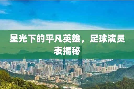 星光下的平凡英雄，足球演员表揭秘