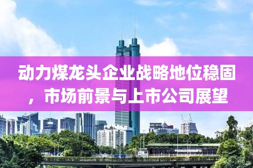 动力煤龙头企业战略地位稳固，市场前景与上市公司展望