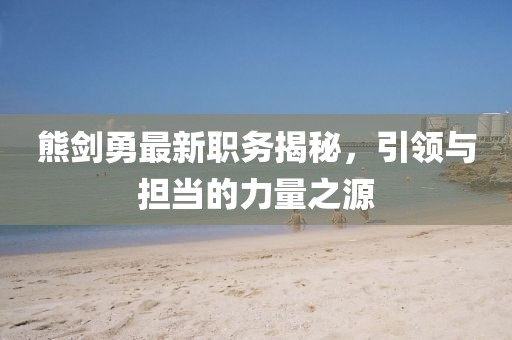 熊剑勇最新职务揭秘，引领与担当的力量之源