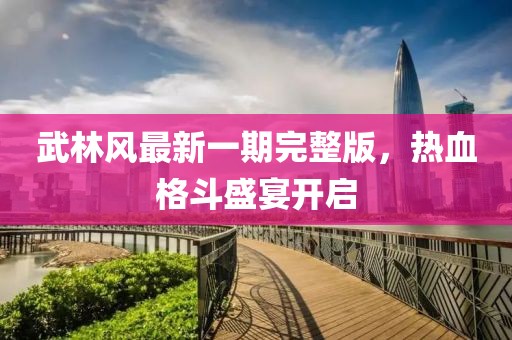 武林风最新一期完整版，热血格斗盛宴开启
