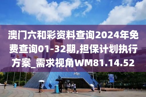澳门六和彩资料查询2024年免费查询01-32期,担保计划执行方案_需求视角WM81.14.52