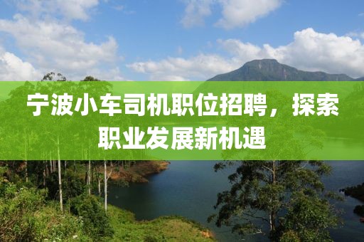宁波小车司机职位招聘，探索职业发展新机遇
