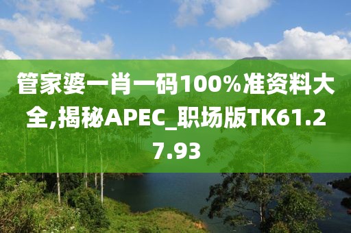 管家婆一肖一码100%准资料大全,揭秘APEC_职场版TK61.27.93