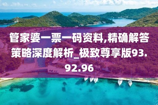 管家婆一票一码资料,精确解答策略深度解析_极致尊享版93.92.96