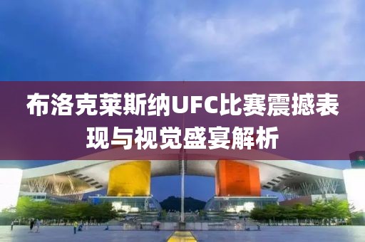 布洛克莱斯纳UFC比赛震撼表现与视觉盛宴解析