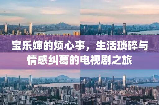 宝乐婶的烦心事，生活琐碎与情感纠葛的电视剧之旅