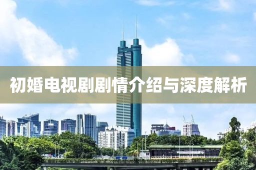 初婚电视剧剧情介绍与深度解析
