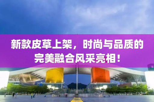 新款皮草上架，时尚与品质的完美融合风采亮相！