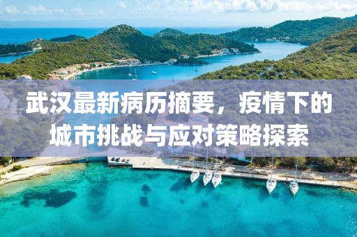 武汉最新病历摘要，疫情下的城市挑战与应对策略探索