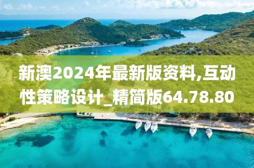 新澳2024年最新版资料,互动性策略设计_精简版64.78.80