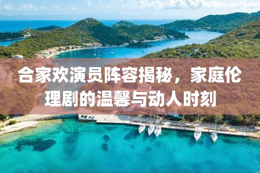合家欢演员阵容揭秘，家庭伦理剧的温馨与动人时刻